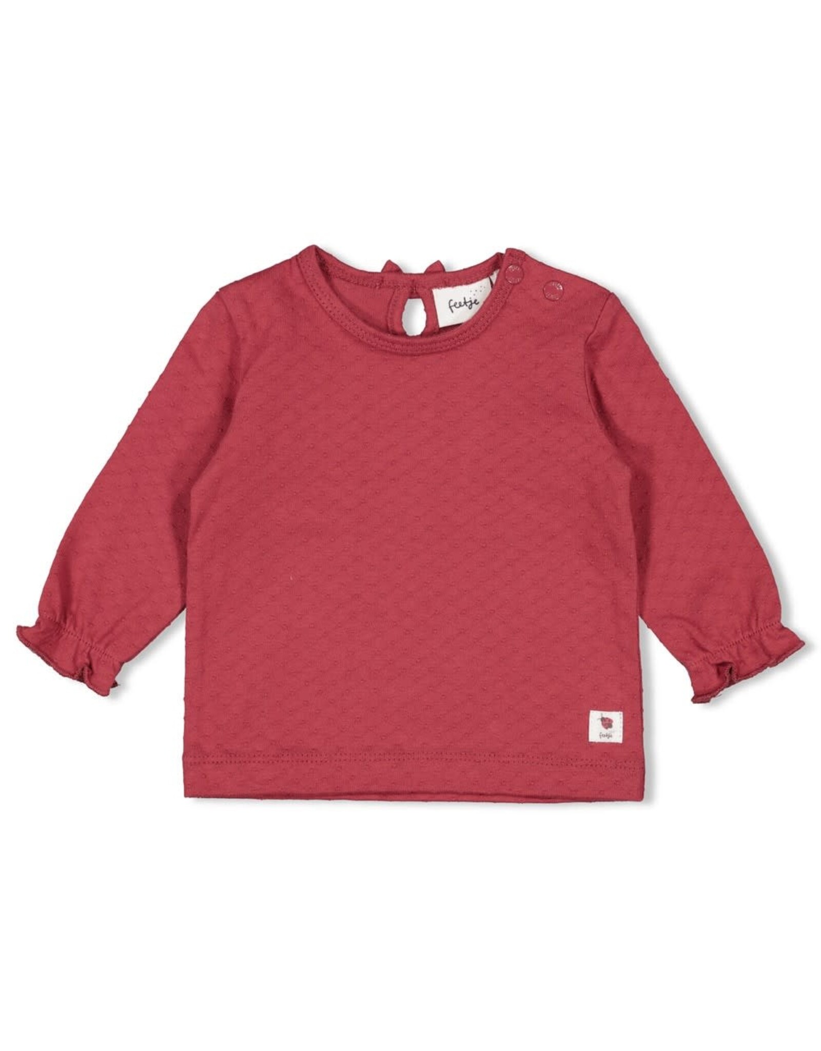 Feetje Longsleeve - Ladybug Berry