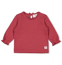 Feetje Longsleeve - Ladybug Berry