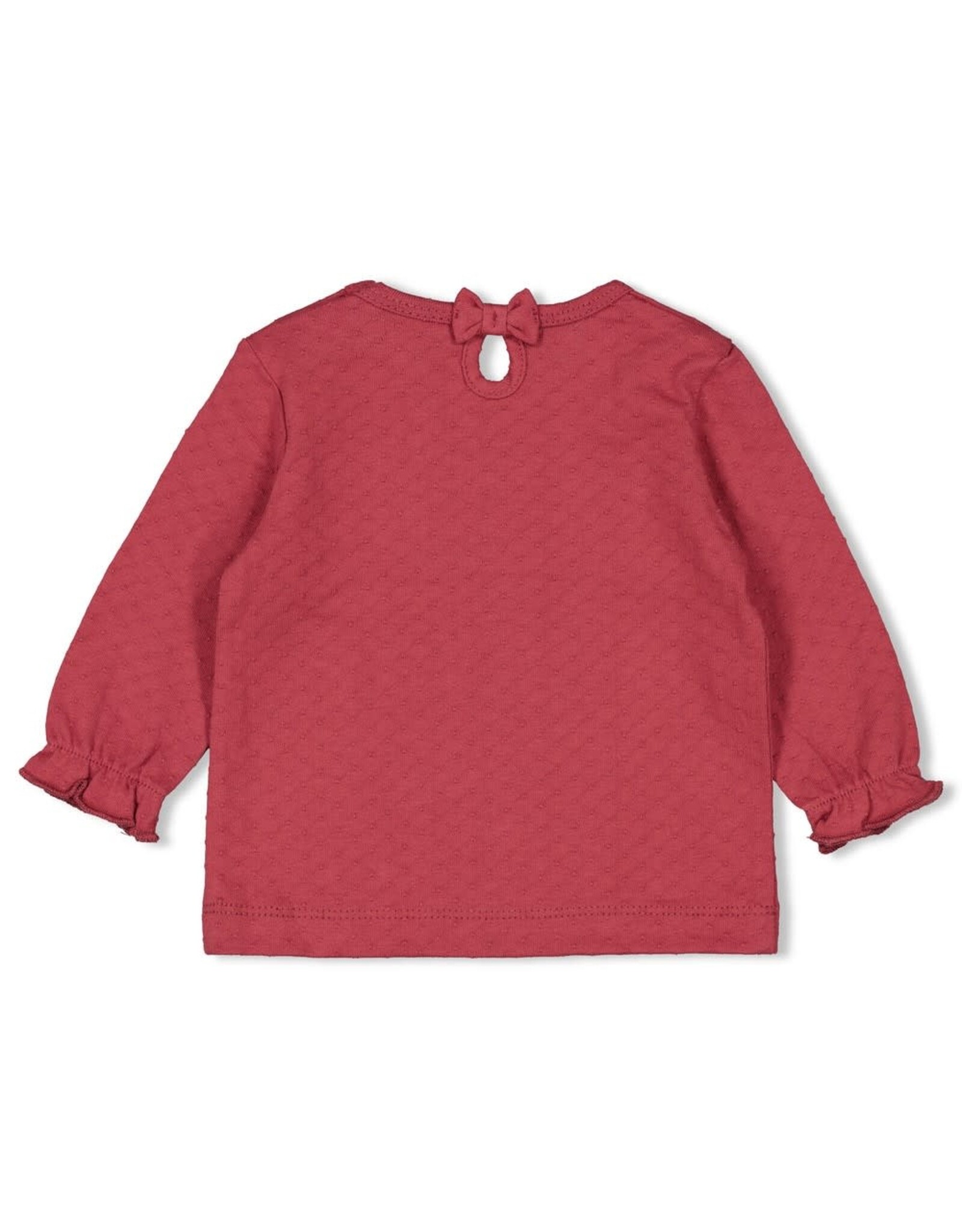 Feetje Longsleeve - Ladybug Berry