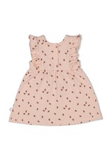 Feetje Jurk AOP k/m - Ladybug l.Roze