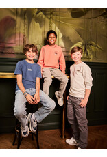 Indian Blue Jeans 2556 Wide Straight Grey Jeans Light Grey Denim