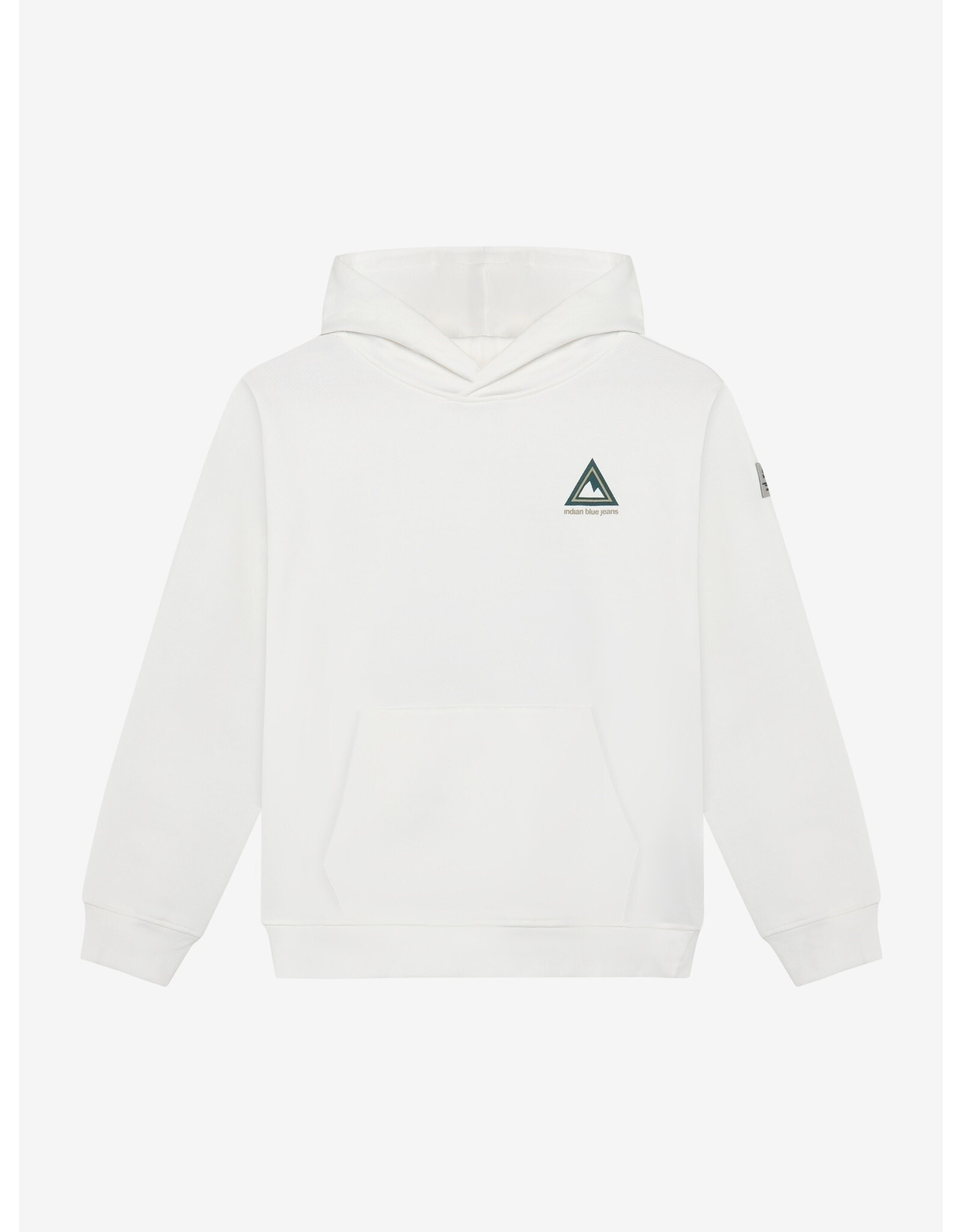 Indian Blue Jeans Loose Fit Hoodie Backprint Cloud