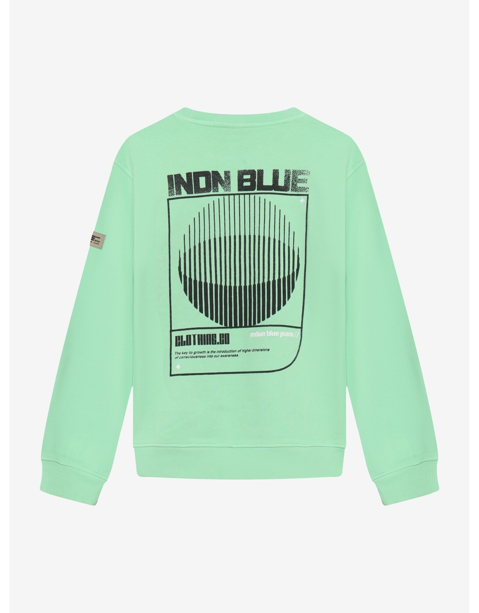 Indian Blue Jeans Loose Fit Sweat IND Washed Fresh Green