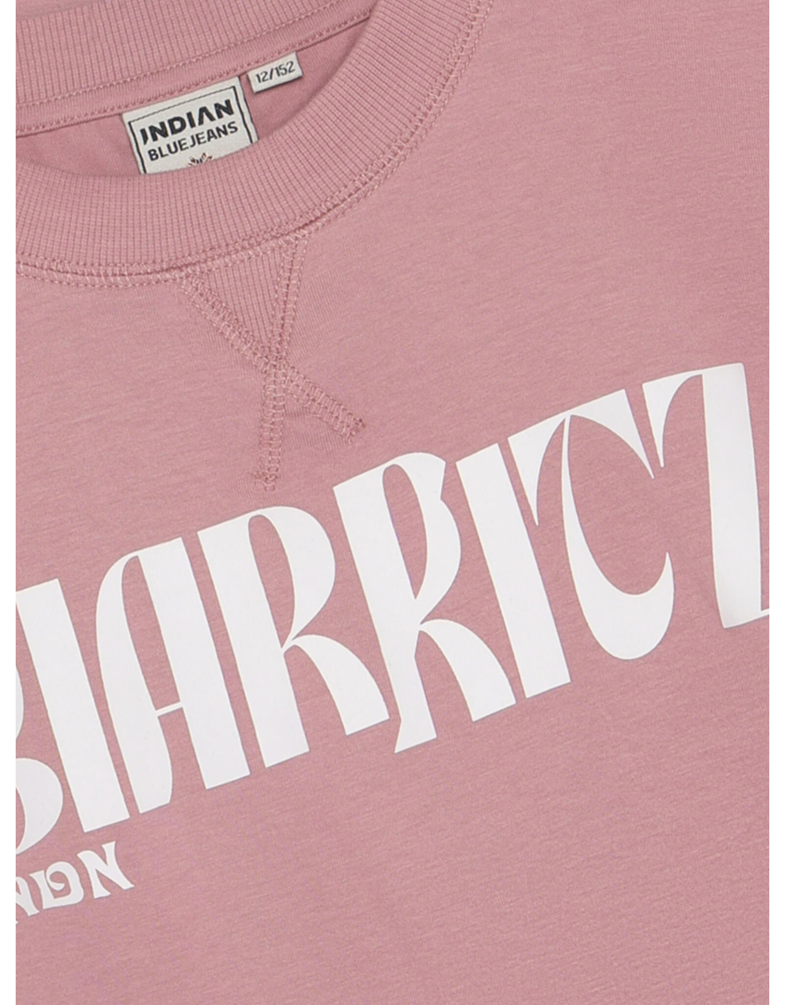 Indian Blue Jeans T-shirt Wide Cropped Lilas