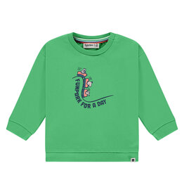 BABYFACE baby boys sweatshirt Frog