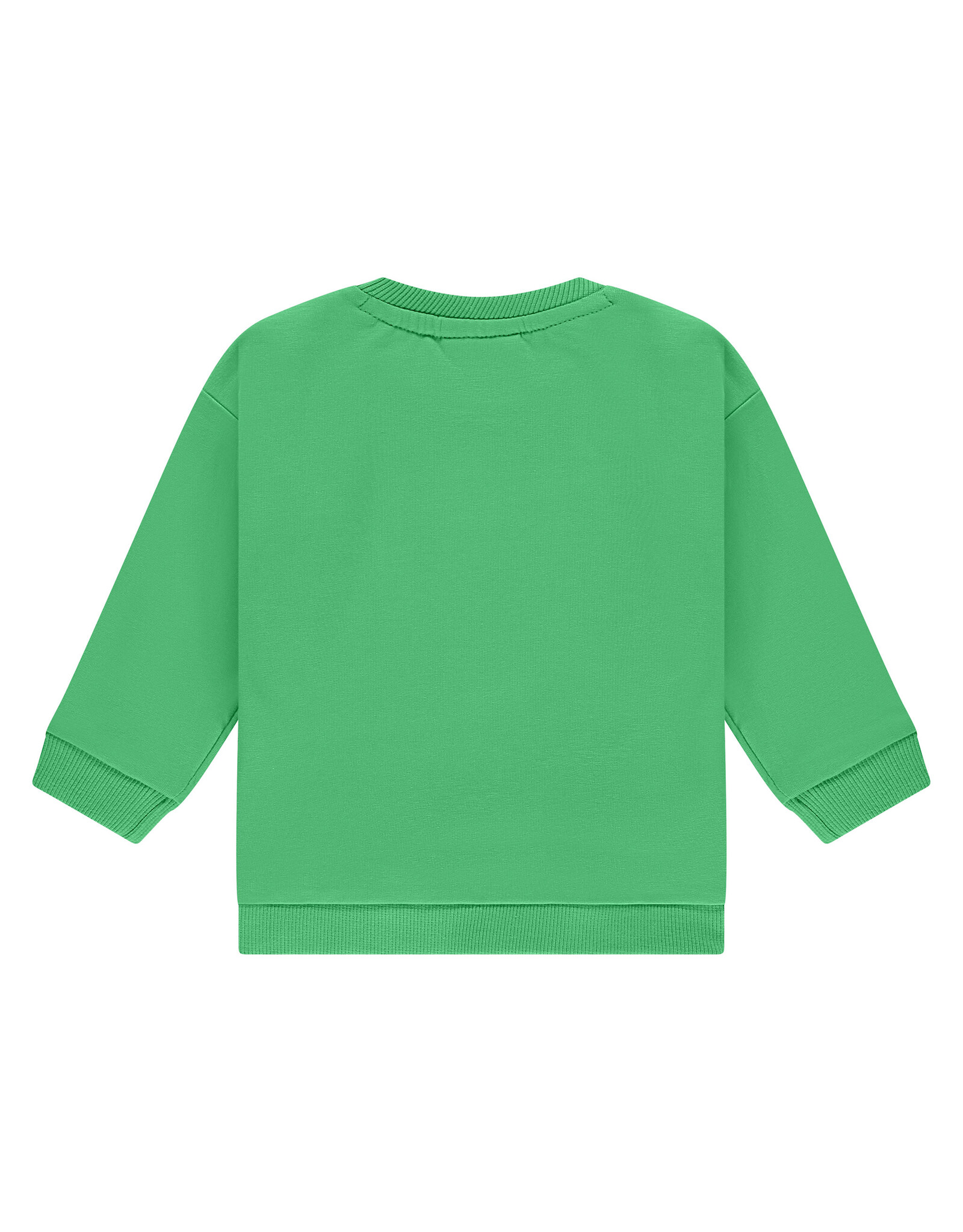 BABYFACE baby boys sweatshirt Frog
