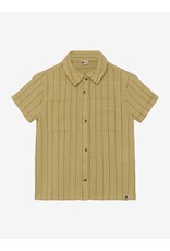 Daily7 Shirt Small Stripe Pale Olive Green