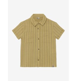 Daily7 Shirt Small Stripe Pale Olive Green