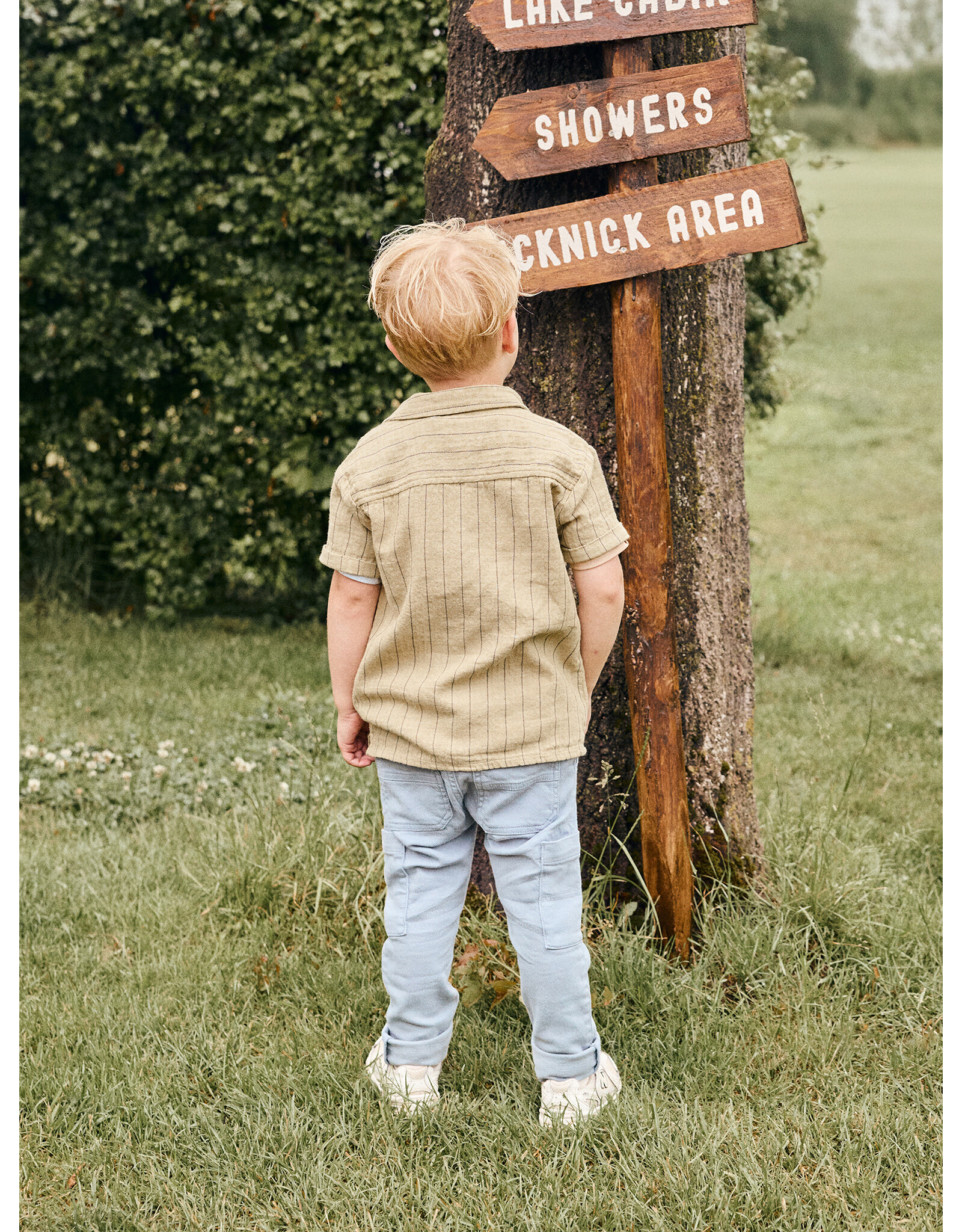 Daily7 Shirt Small Stripe Pale Olive Green