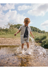 Daily7 Shirt Stripe Cotton Thunderstorm