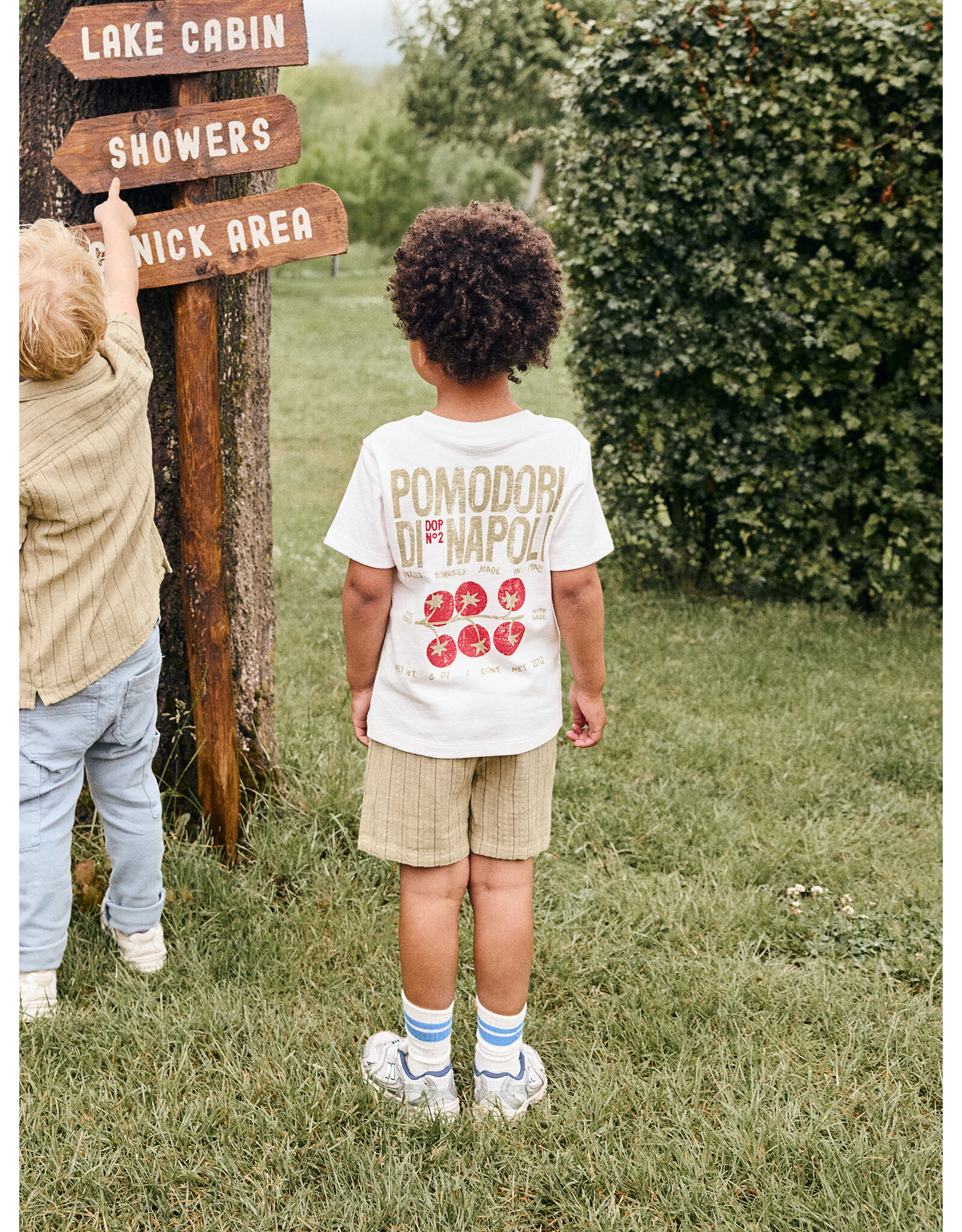 Daily7 Shorts Small Stripe Pale Olive Green