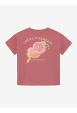 Daily7 T-shirt Backprint Heather Rose