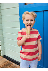 Daily7 T-shirt Big Stripe Chrysanthemum