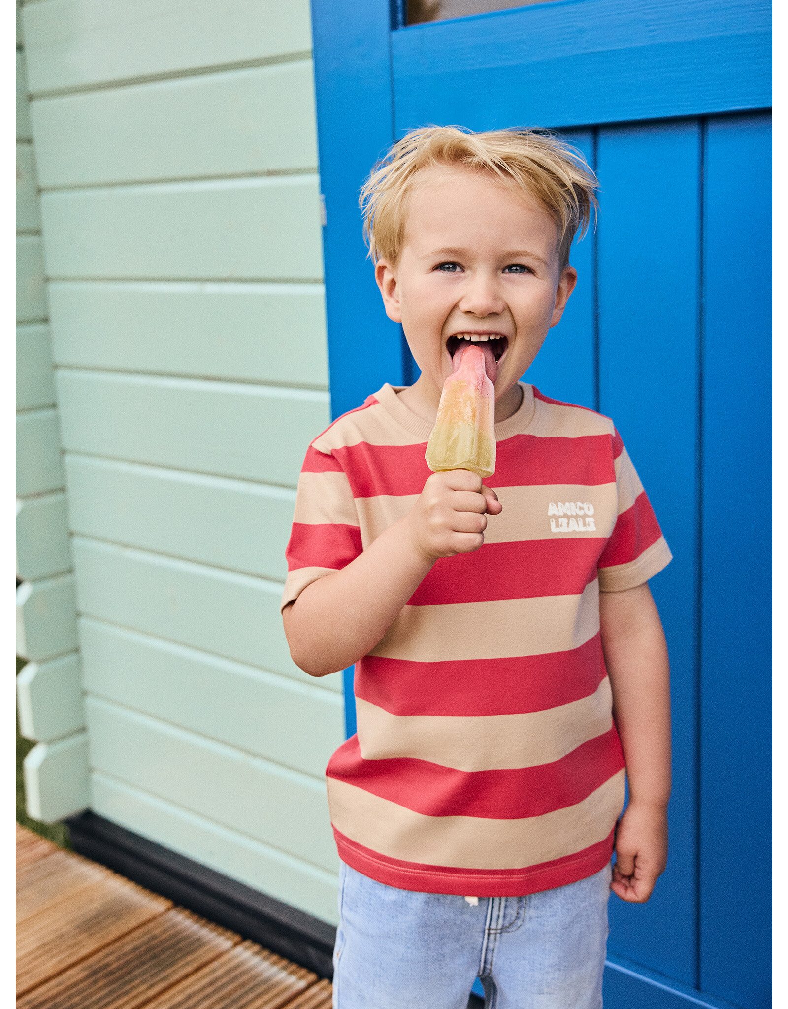 Daily7 T-shirt Big Stripe Chrysanthemum
