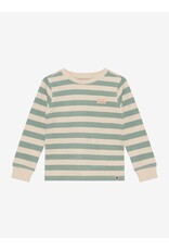 Daily7 T-shirt Longsleeve Stripe Green Milieu