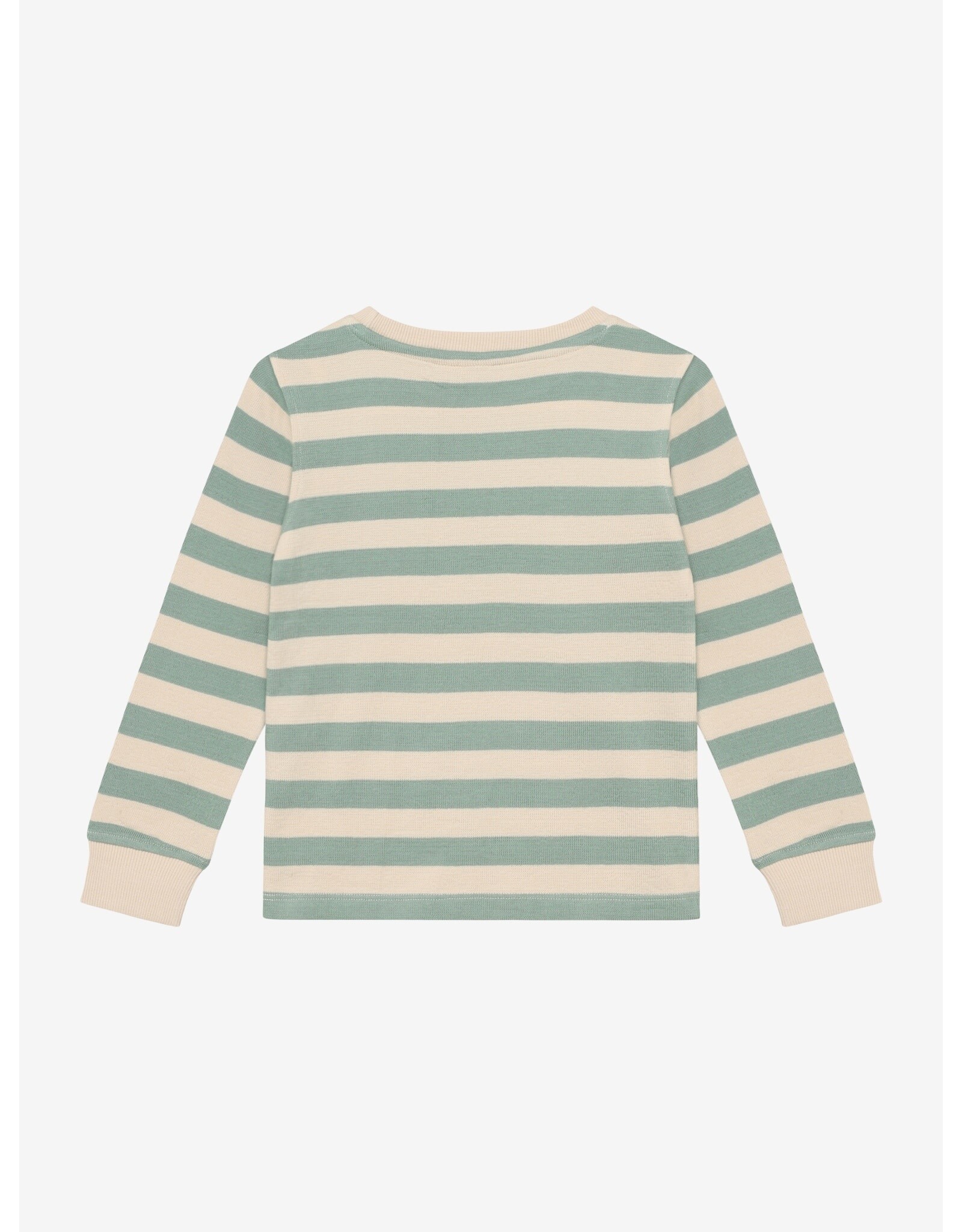 Daily7 T-shirt Longsleeve Stripe Green Milieu