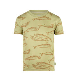 Koko Noko T-shirt Faded green s26