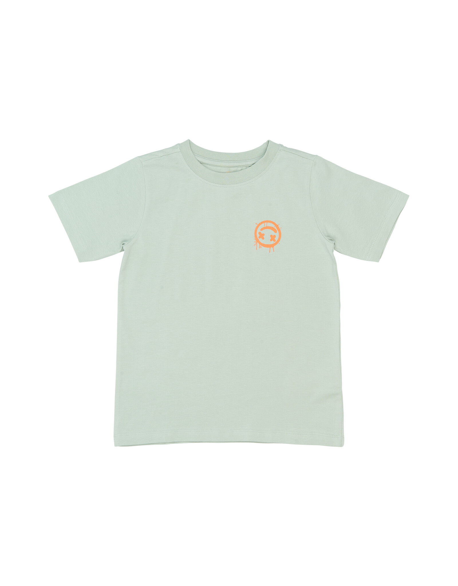 THE NEW TNSander S_S Tee Aqua gray