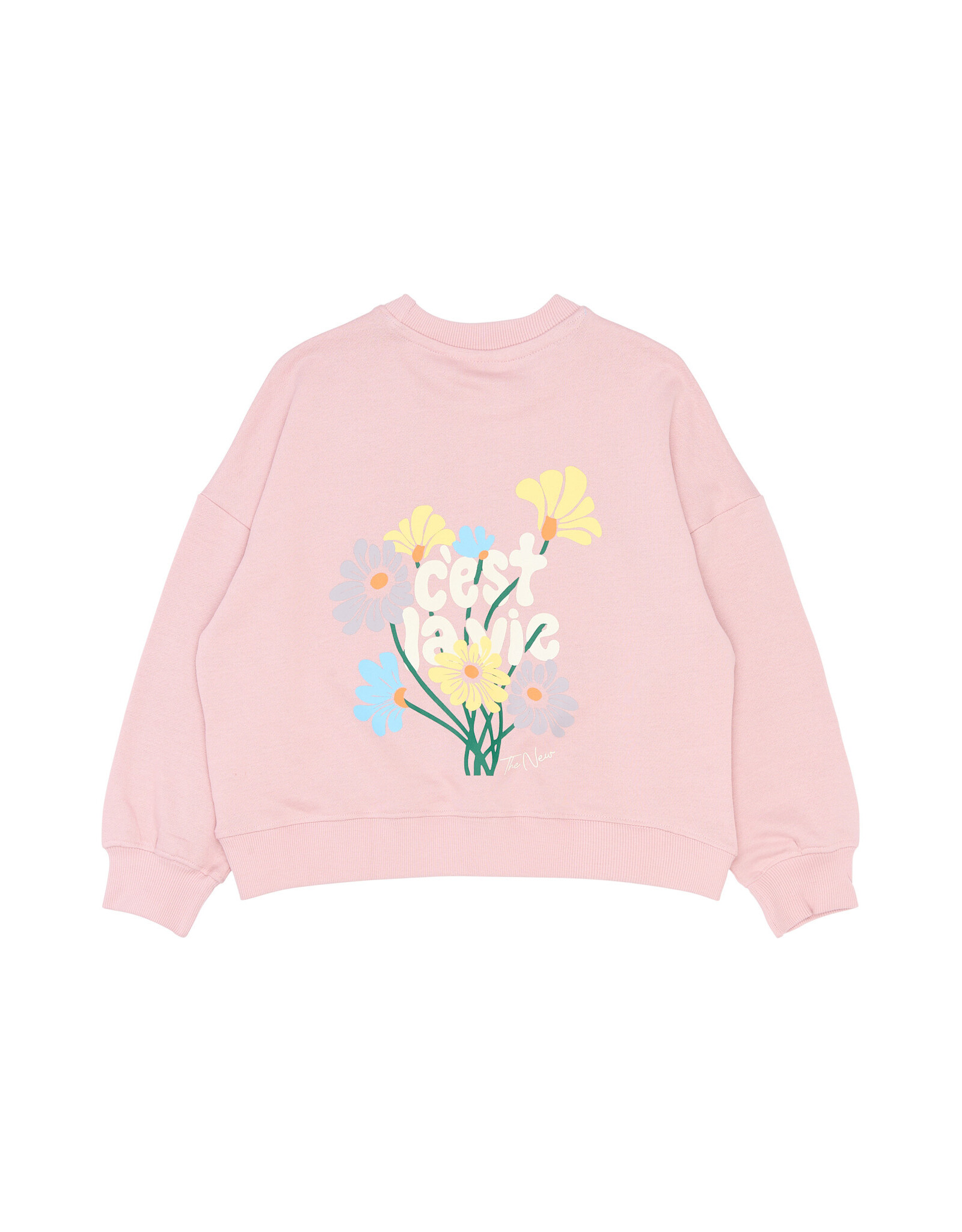 THE NEW TNSandy OS Sweatshirt Silver Pink