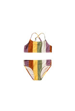 Salted Stories Multi Stripe | Bikini Multicolor