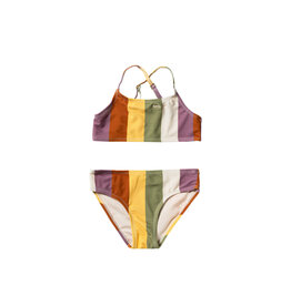 Salted Stories Multi Stripe | Bikini Multicolor