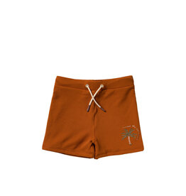 Salted Stories Solid | Swim Trunks Bombay Brown