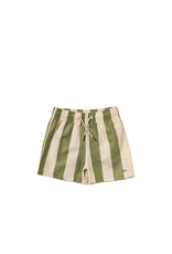 Salted Stories Wide Stripe | Swim Shorts Iguana