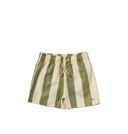 Salted Stories Wide Stripe | Swim Shorts Iguana