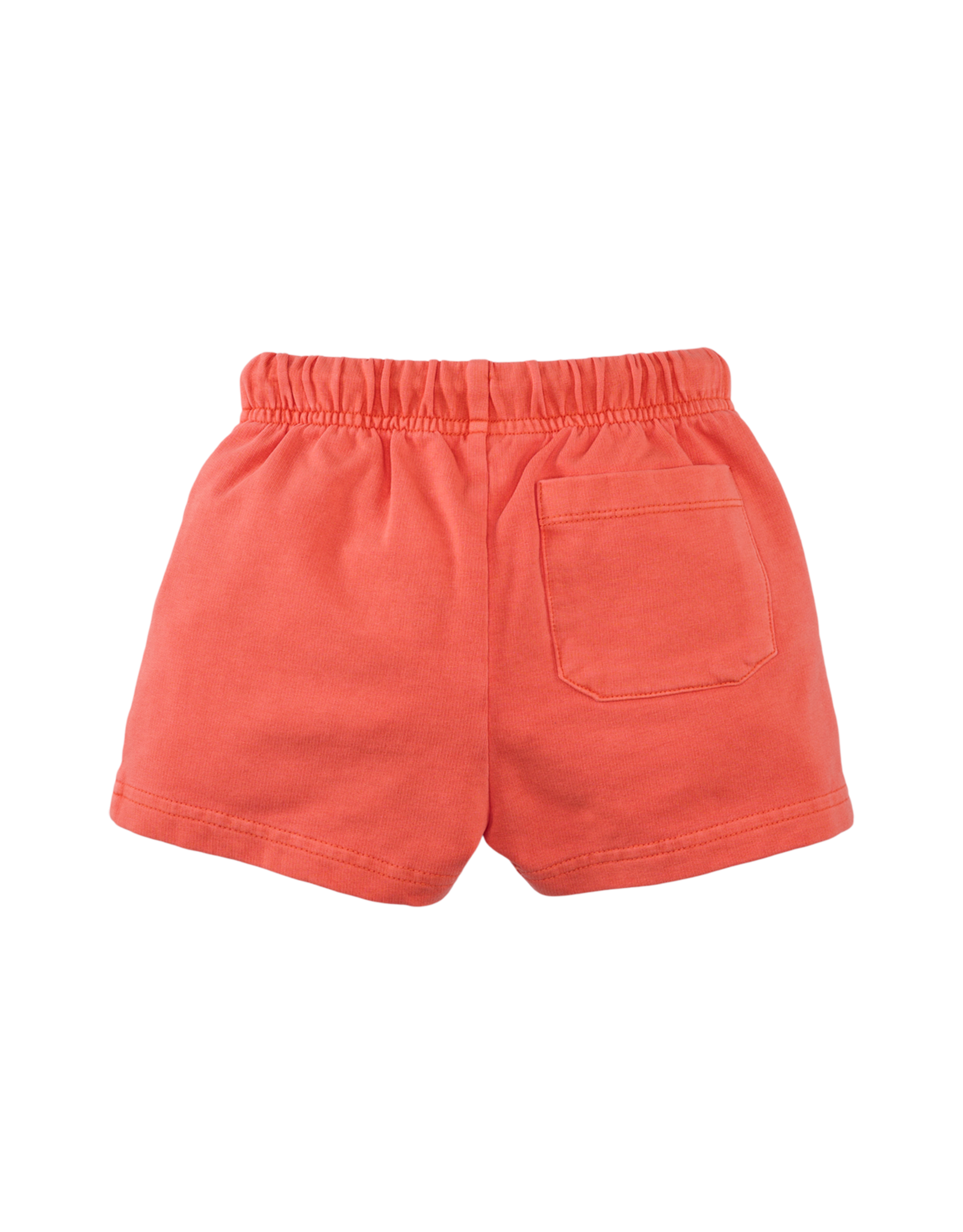 Z8 Tony Sizzling orange