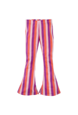 Z8 Jannat Rocky rose