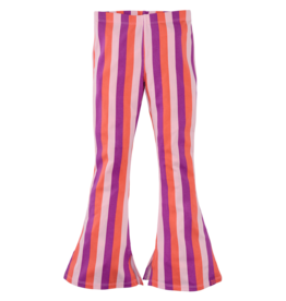 Z8 Jannat Rocky rose