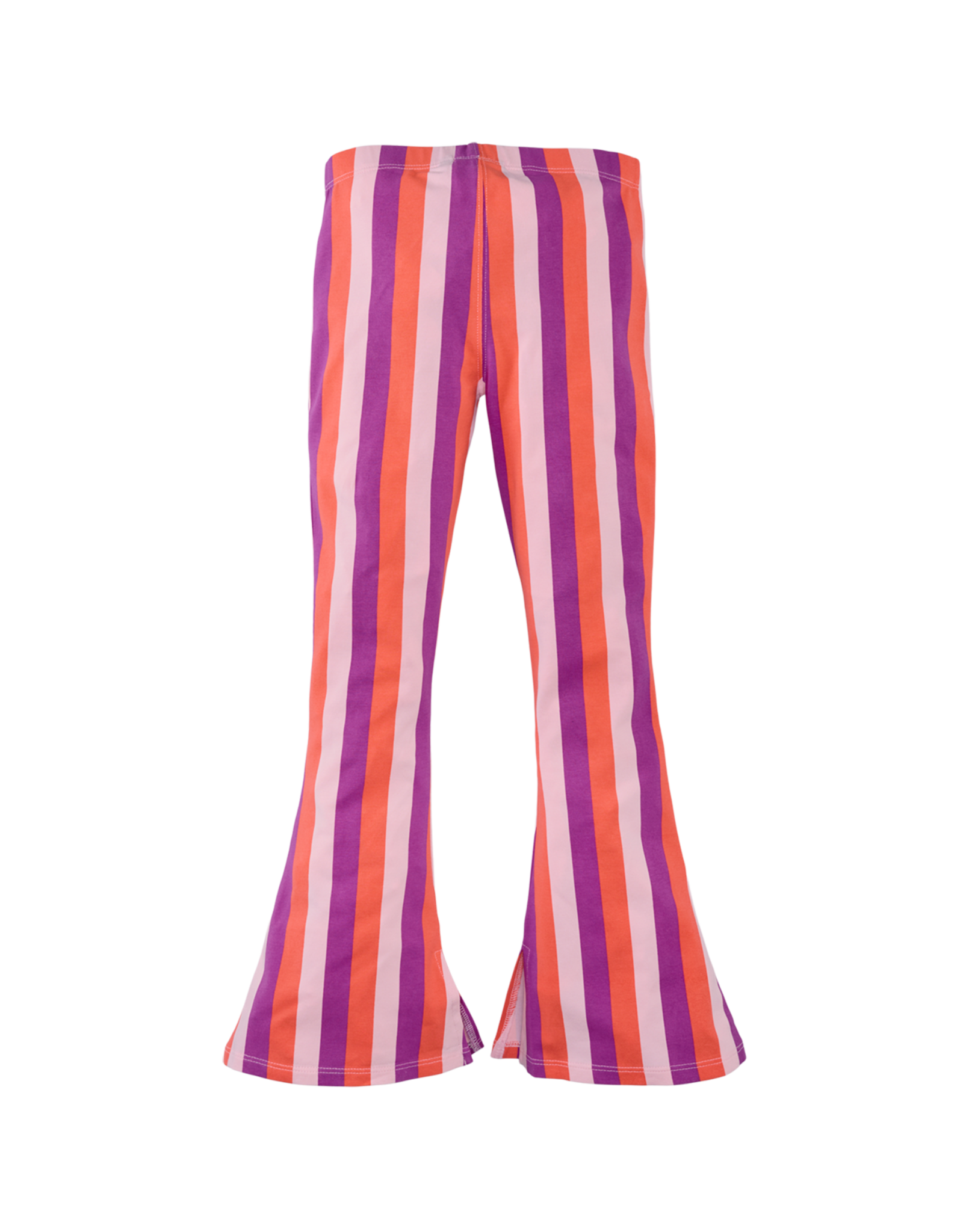 Z8 Jannat Rocky rose