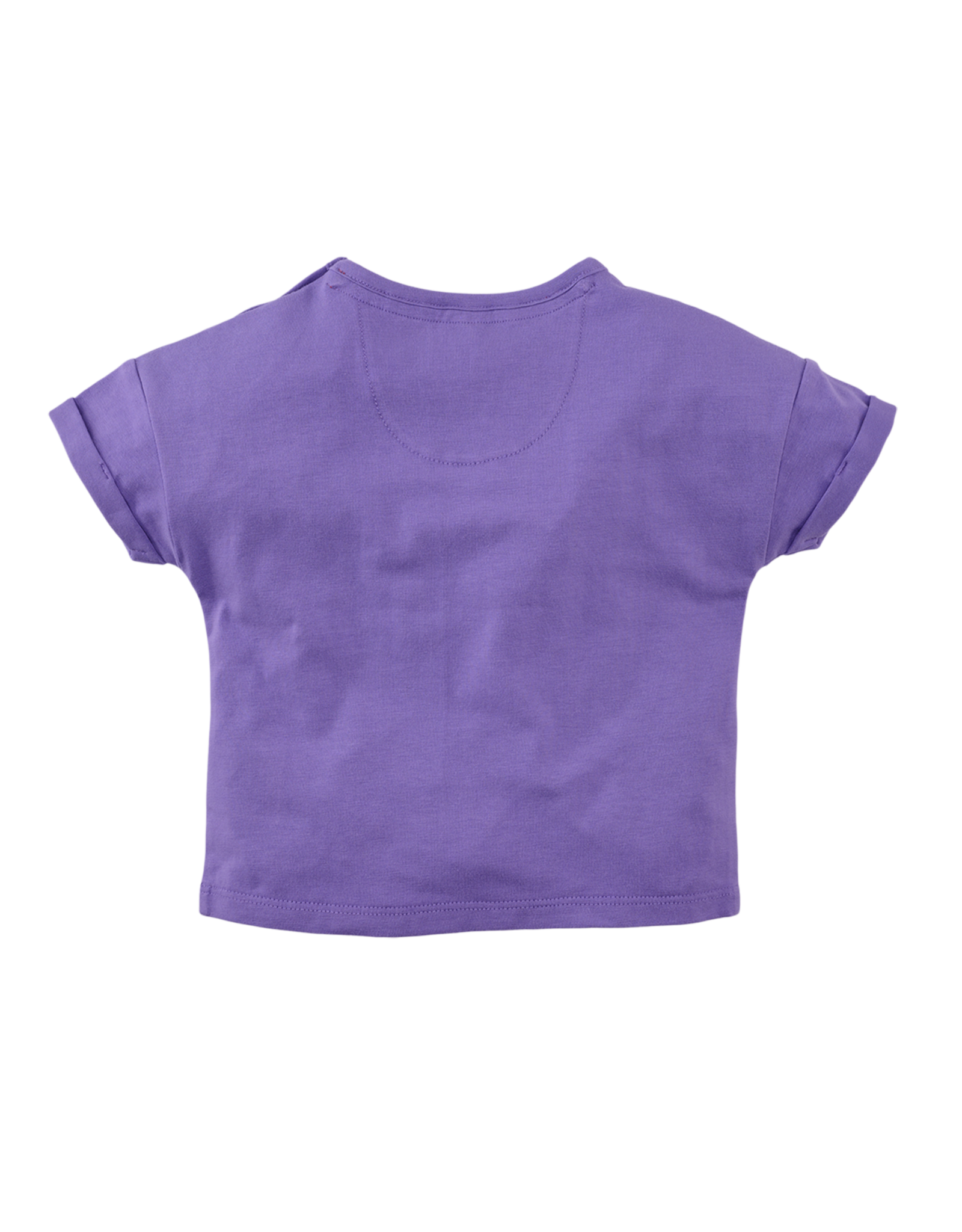 Z8 Maroua Pretty purple