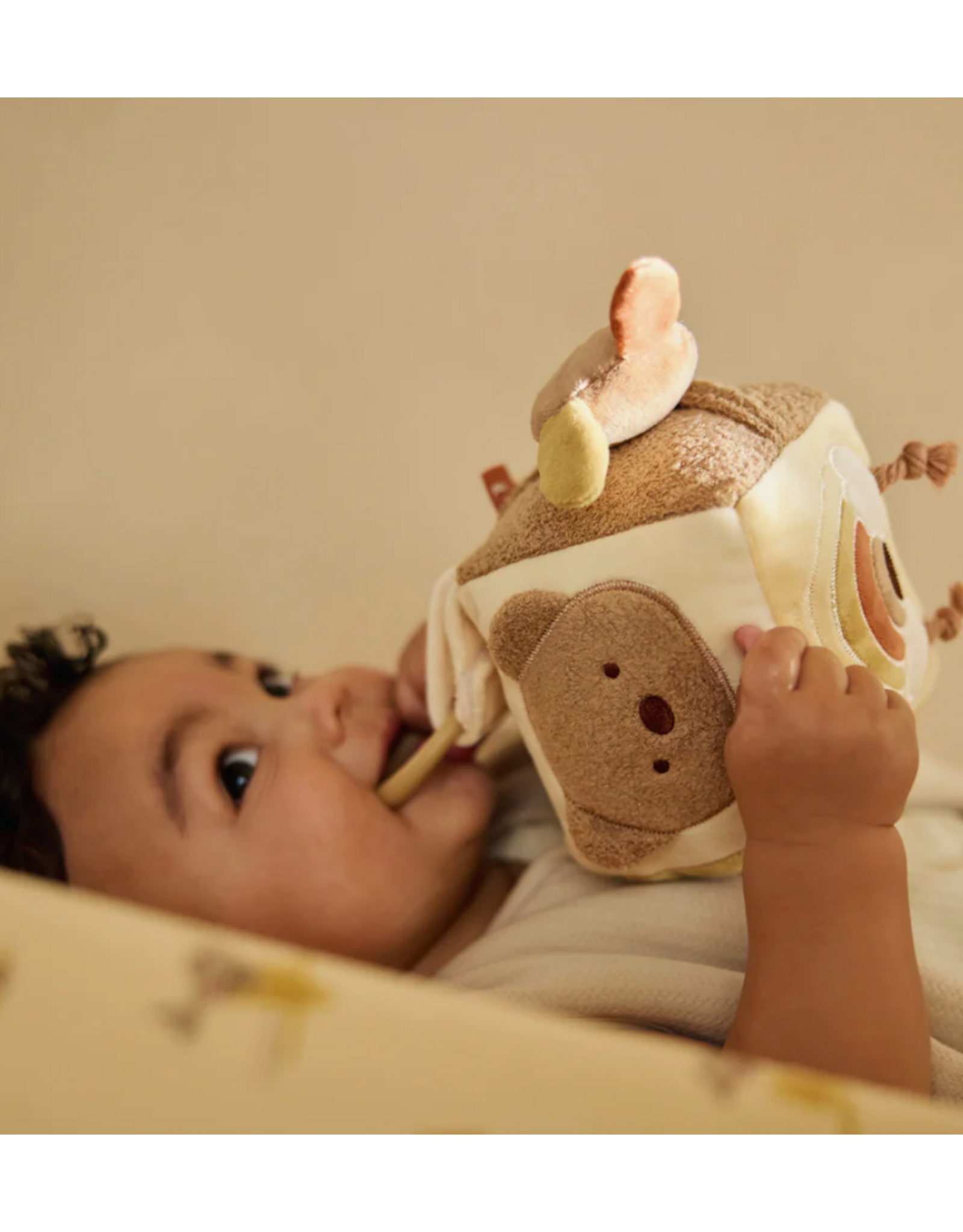 Jollein Activiteitenkubus Kangaroots