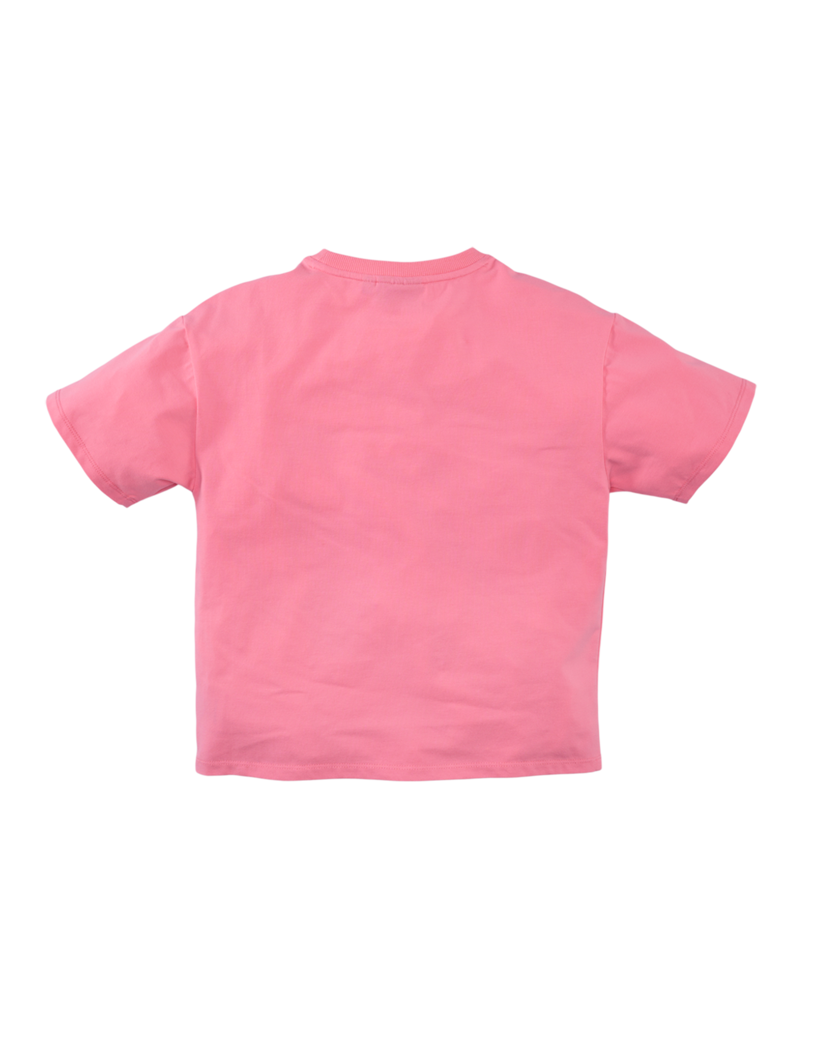 Z8 Novy Summer punch