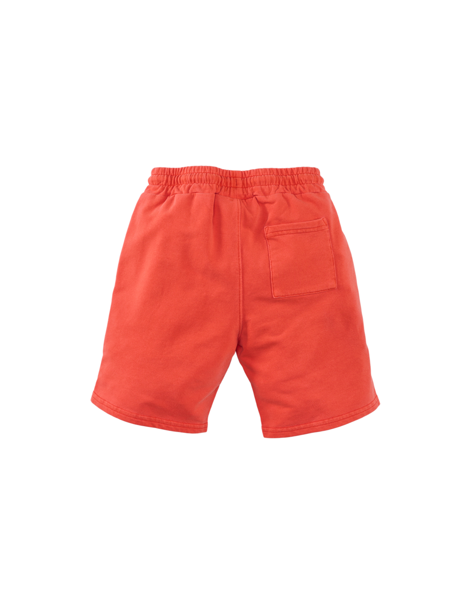 Z8 Bob Vibrant flame