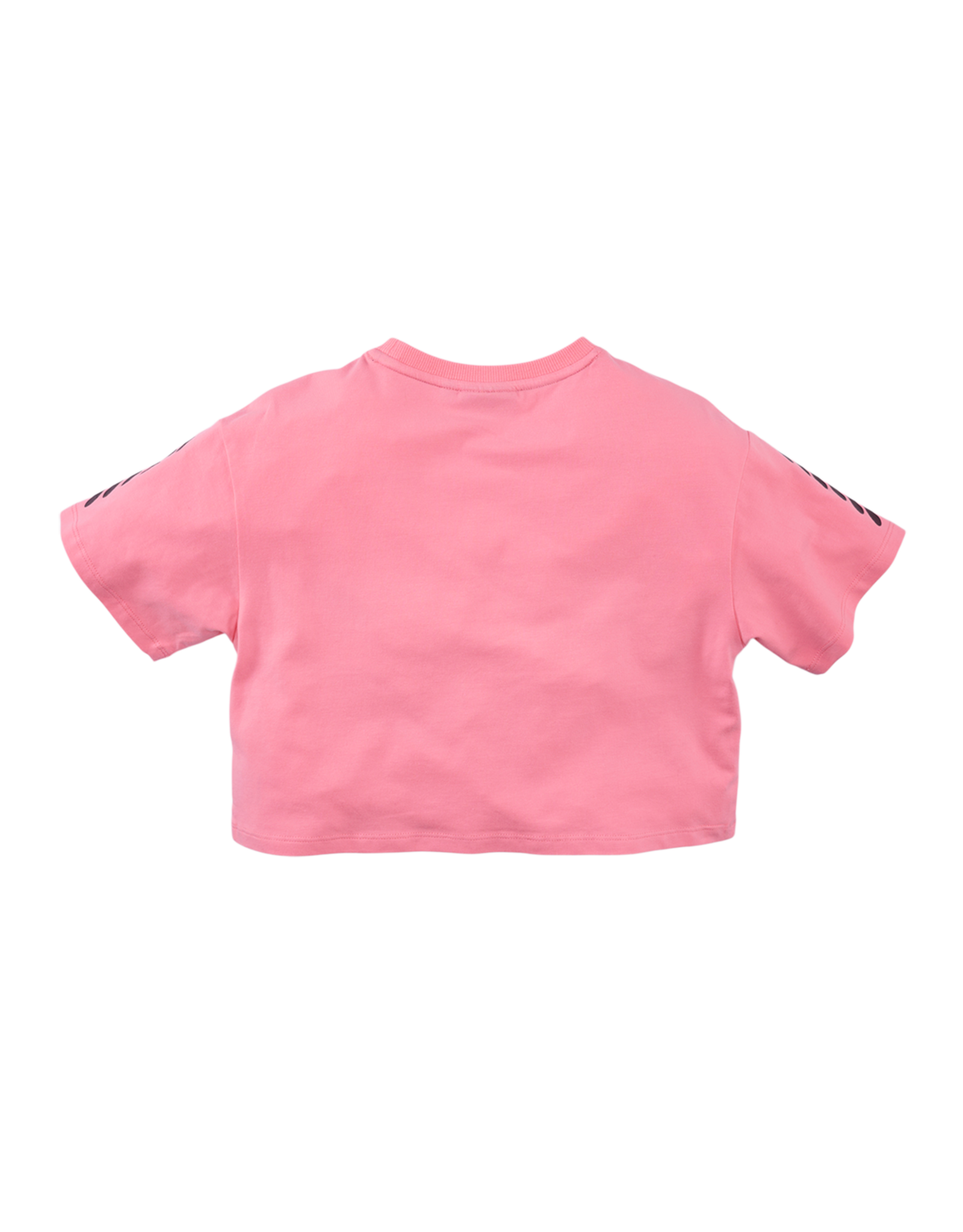 Z8 Anissa Summer punch