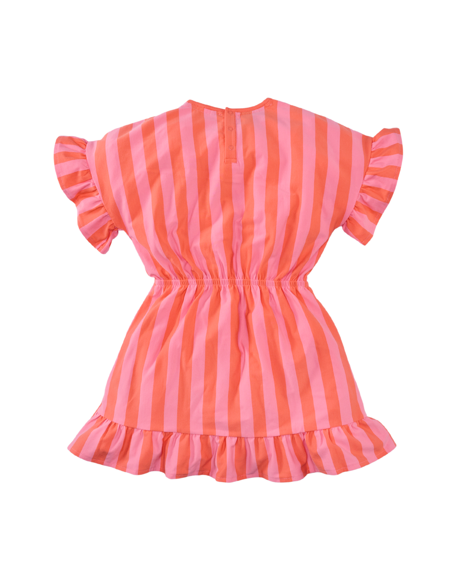 Z8 Fiep  Living coral