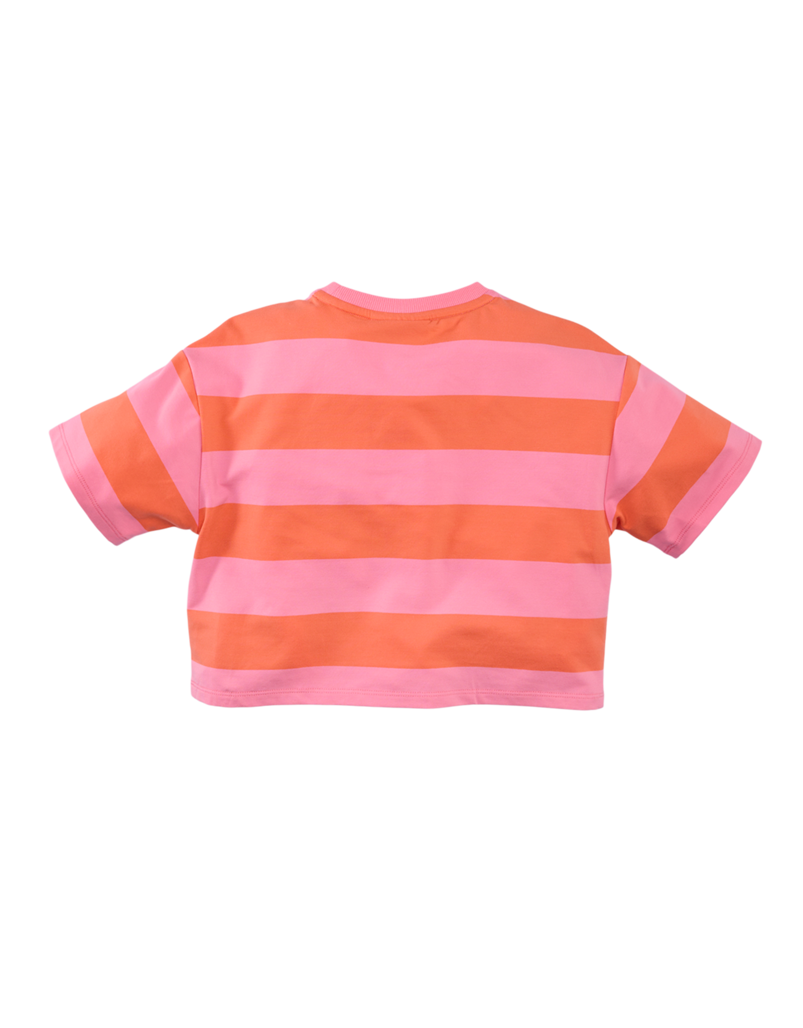 Z8 Elien Sizzling orange