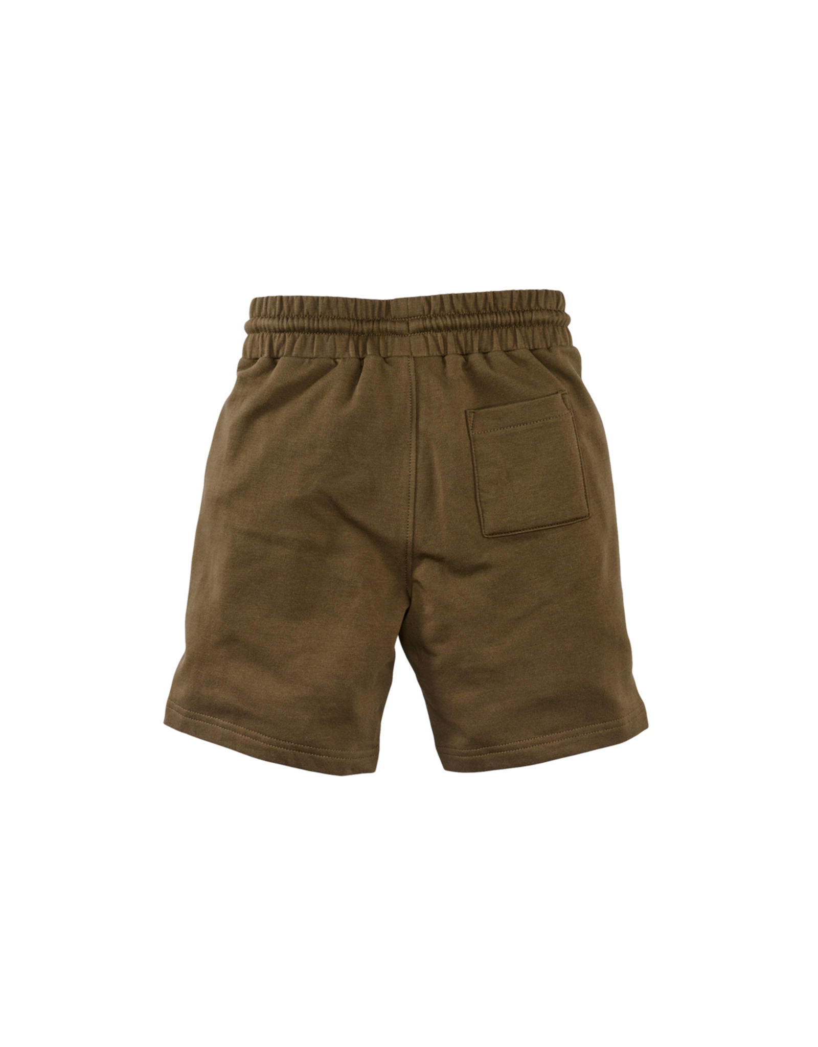 Z8 Elian Golden moss