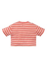 Z8 Gaia Lovely lemon