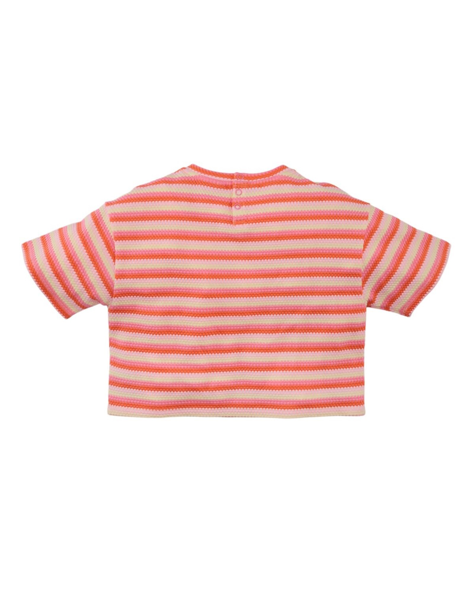 Z8 Gaia Lovely lemon