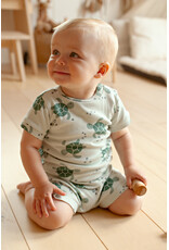 Feetje Timmy Turtle - Premium Summerwear by Feetje Mint