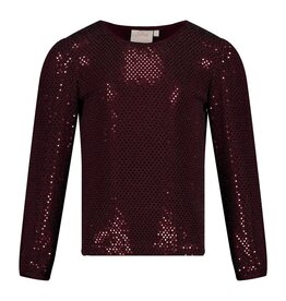 Jubel Longsleeve pailetten - Daily Princess Bordeaux