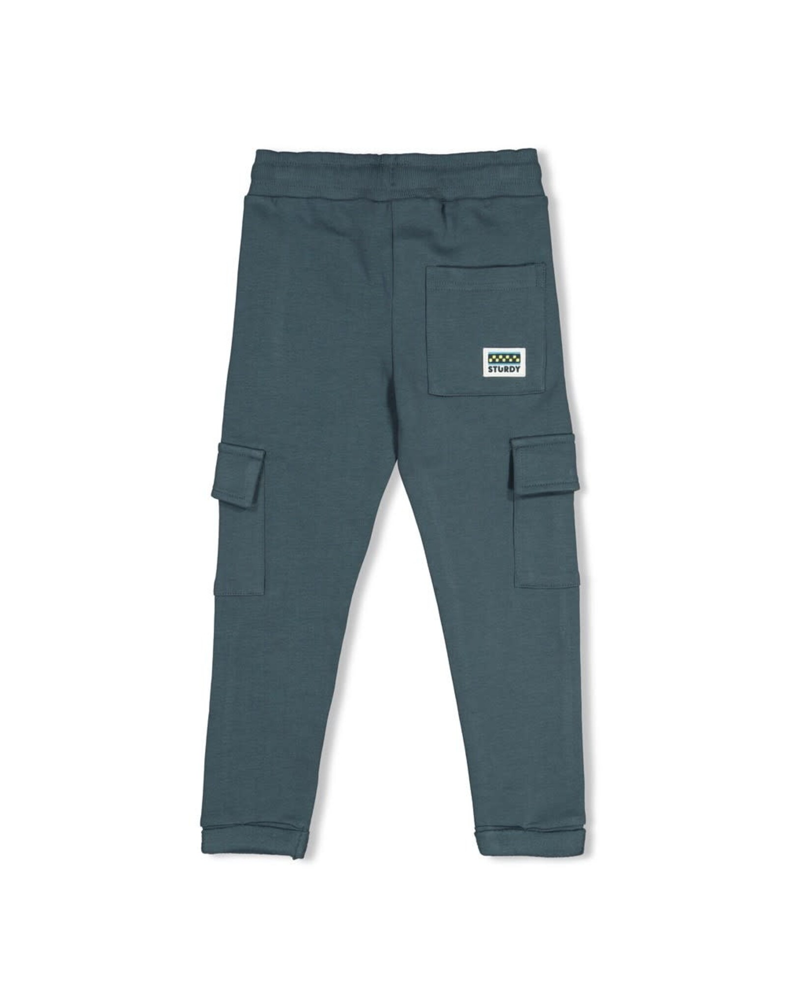 Sturdy Cargo broek - Fix It Petrol