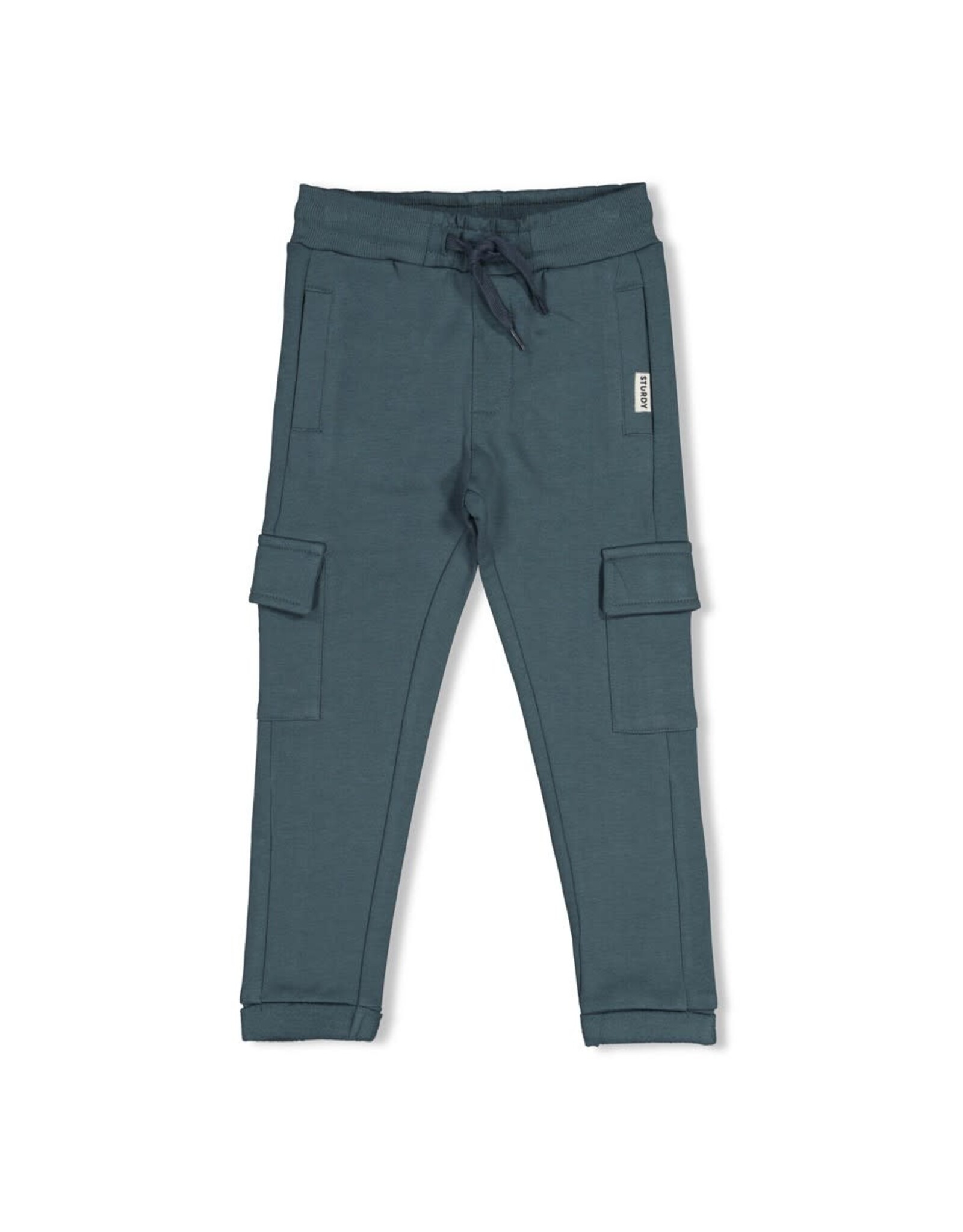 Sturdy Cargo broek - Fix It Petrol