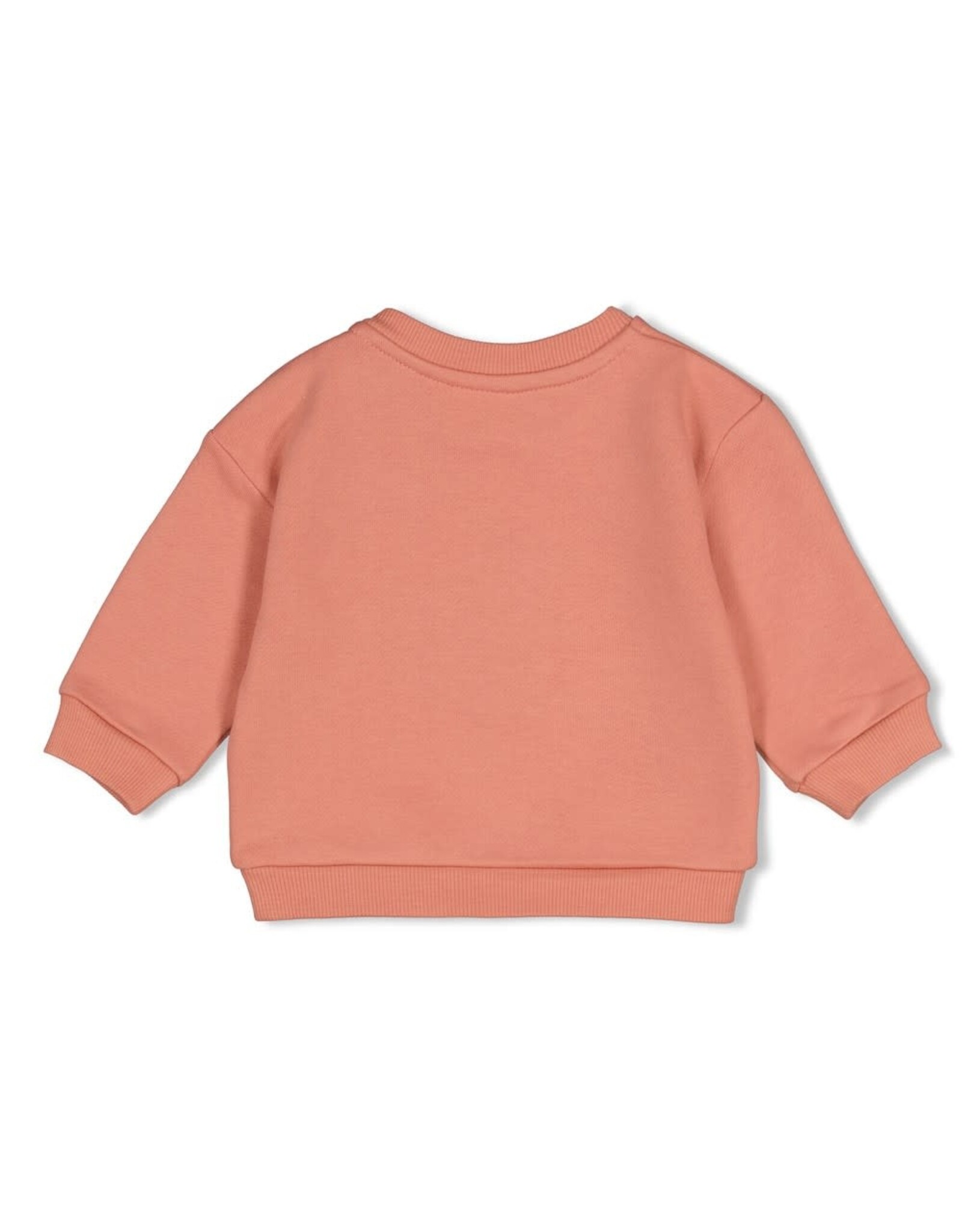 Feetje Sweater oversized - Forest Garden Roze