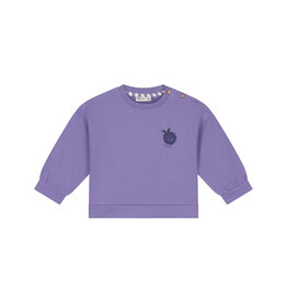 BABYFACE baby girls sweatshirt Faded Plum