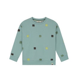 Stains & Stories boys sweatshirt Water