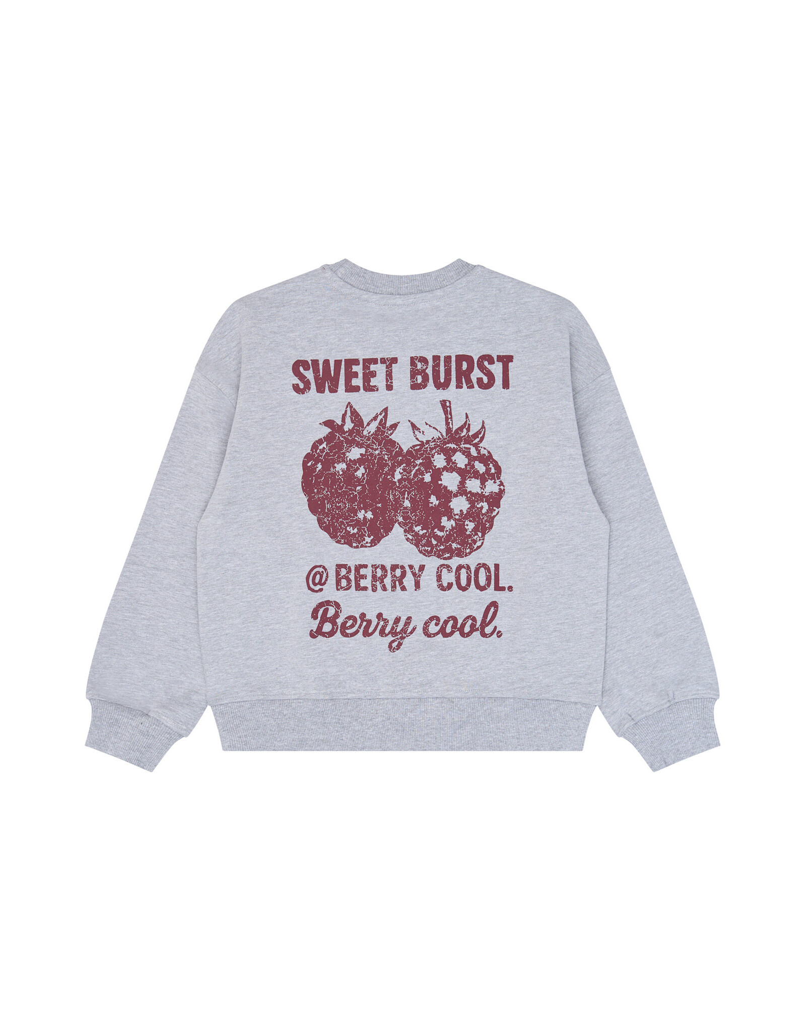 THE NEW TNVeris OS Sweatshirt Light Grey Melange